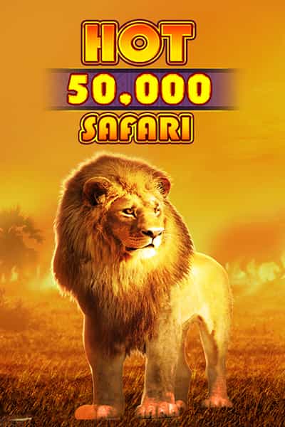 Hot Safari 50,000